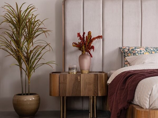 Browni Komodin (2 Adet)