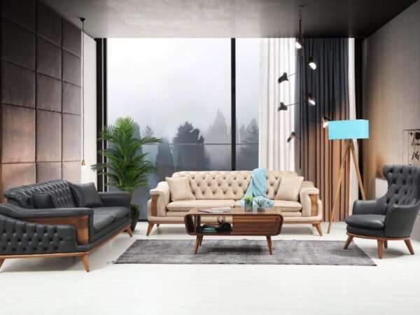 Tesla Koltuk Takımı